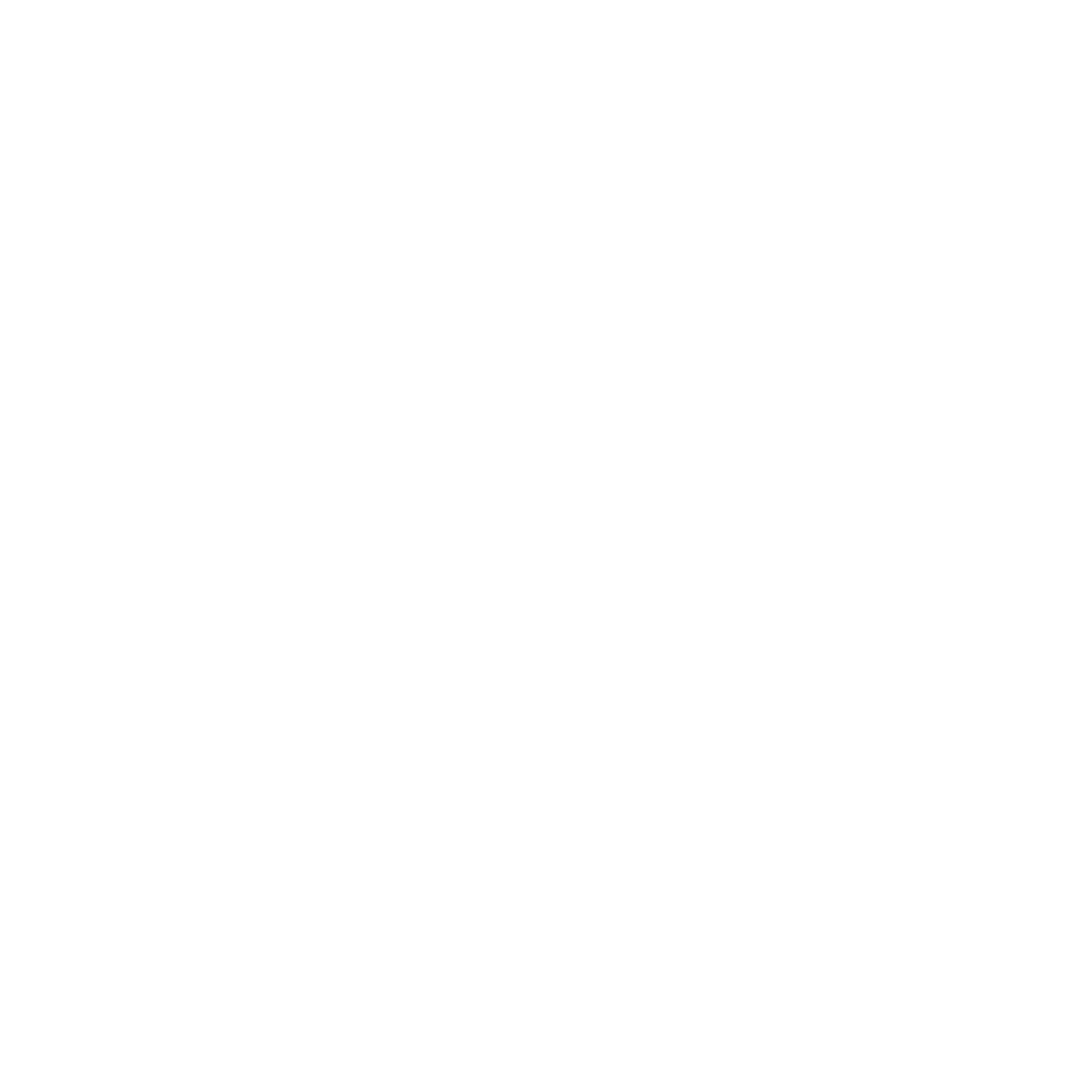 ICÔNE DE PROJÉT 
